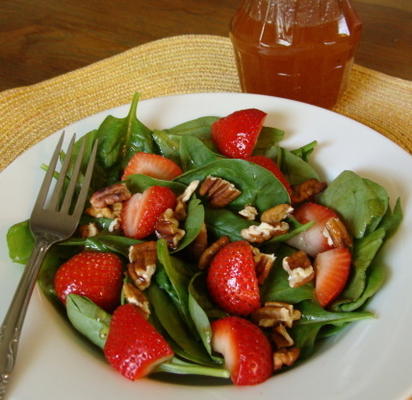 jan's prie pour la vinaigrette à salade