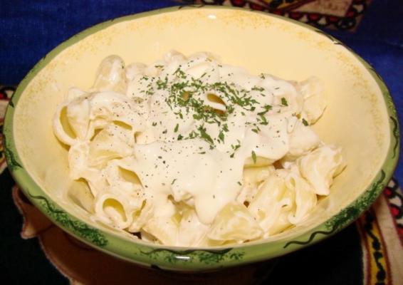 sauce crémeuse au parmesan