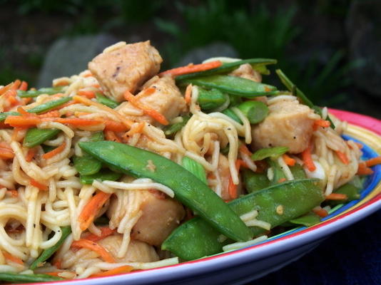 spaghetti de poulet chinois