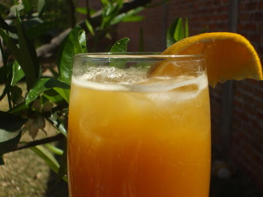 boisson aux agrumes et à l'abricot
