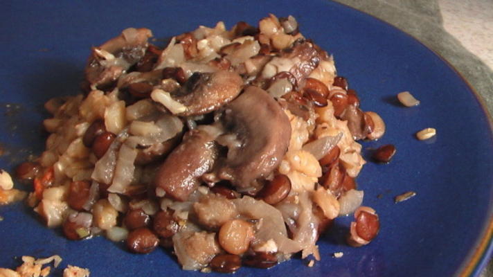 cocotte de champignons