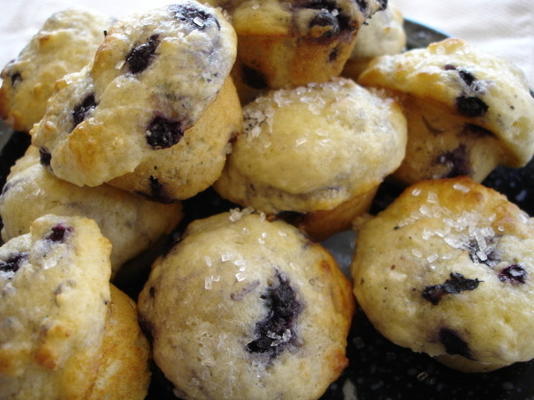 muffins au fromage et aux myrtilles
