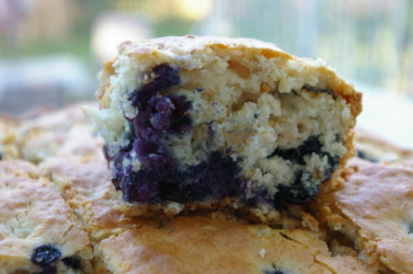 gâteau de petit déjeuner à l'avoine et aux bleuets