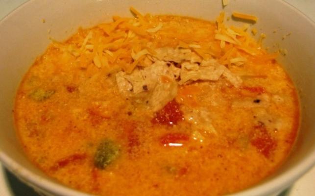 soupe enchilada au fromage de poulet