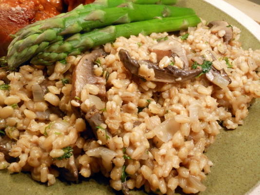 pilaf de champignons et d'orge sauvages