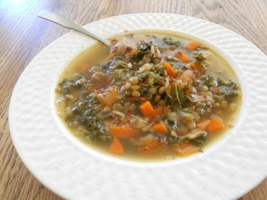 soupe de lentilles au poulet avec chou frisé