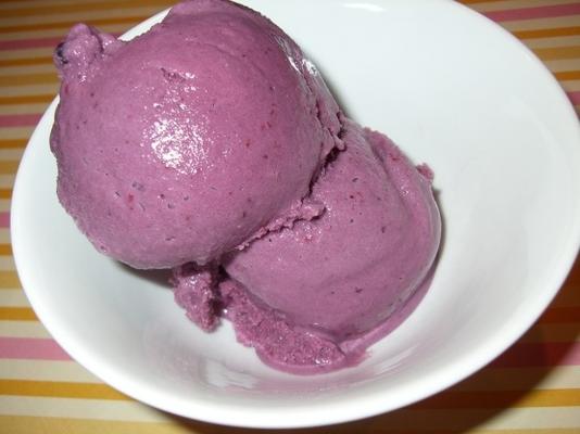 yaourt glacé aux baies et aux baies (en bonne santé; pour la machine à crème glacée)