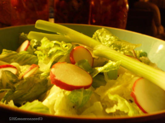 salade de radis et d'oignons verts