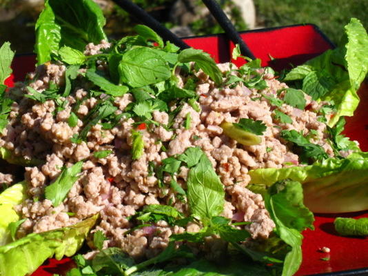 poulet larb