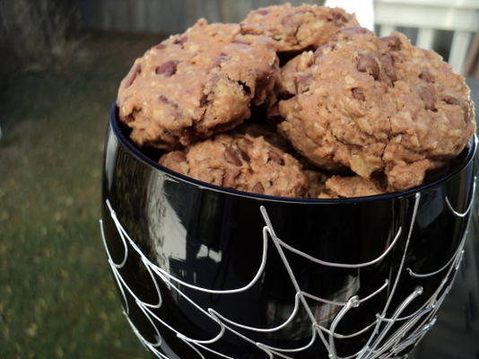 avoine aux pépites de chocolat (biscuits)