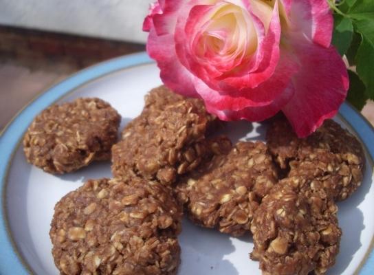 biscuits d'avoine au chocolat sains sans cuisson