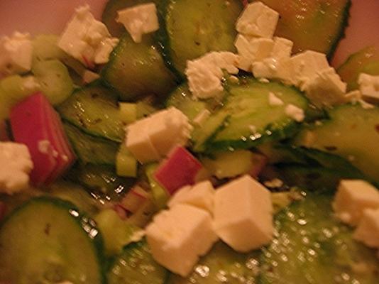 salade d'oignon concombre