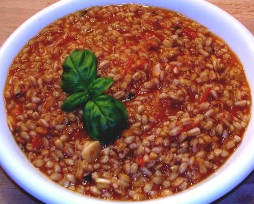 riz tomate au basilic