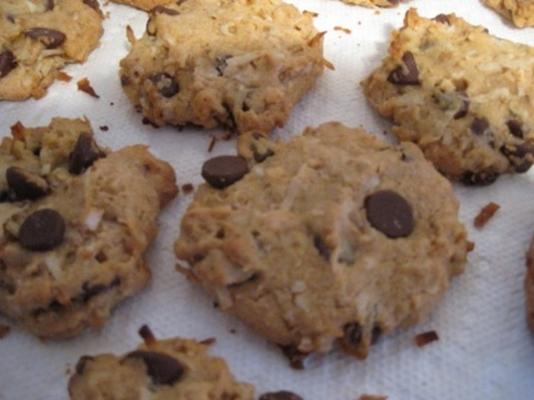 biscuits au trésor de pépites de chocolat