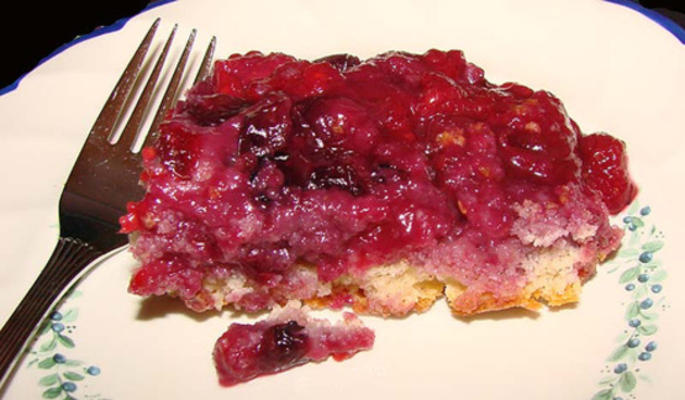 gâteau au pudding bleu-framboise