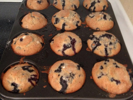 les meilleurs muffins aux bleuets