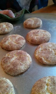 snickerdoodles doux et moelleux