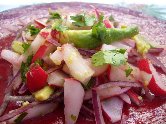radis et salade d'avocat - mexique
