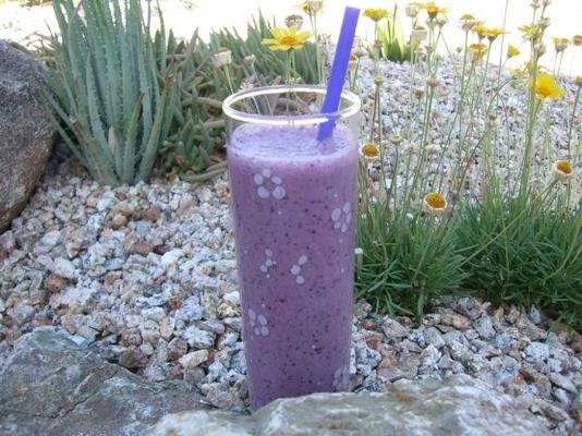 milkshake sain aux bleuets