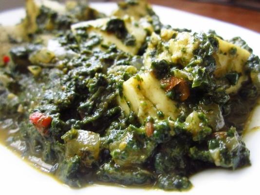 fromage cottage dans une sauce aux épinards (palak paneer)