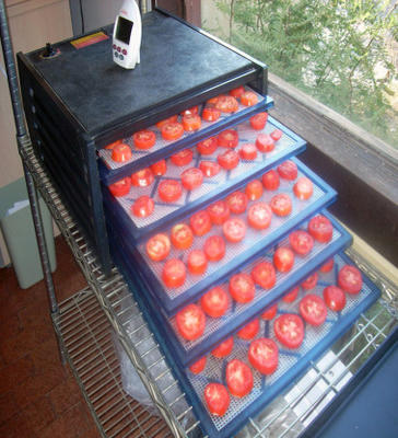 déshydratation des tomates