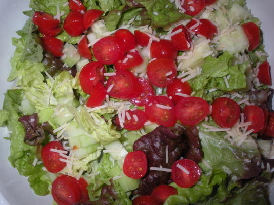 salade de laitue rouge
