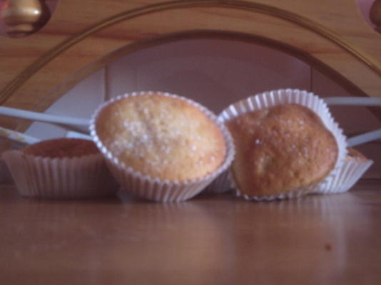 muffins aux bleuets à teneur réduite en sucre
