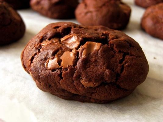 biscuits au chocolat avec raisins secs enrobés de chocolat