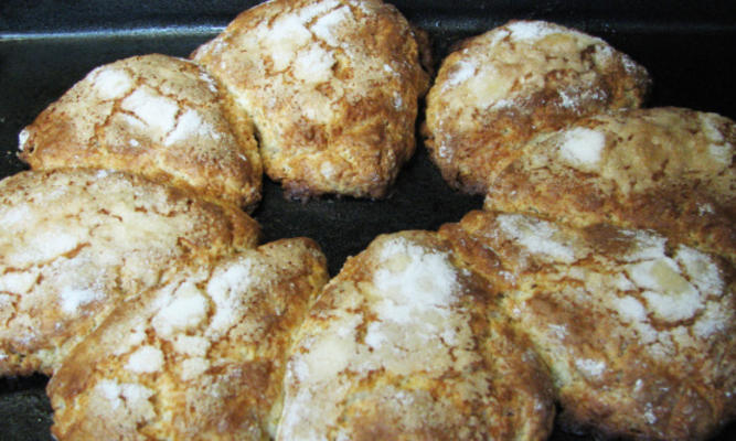 Les scones au gingembre de Darcy