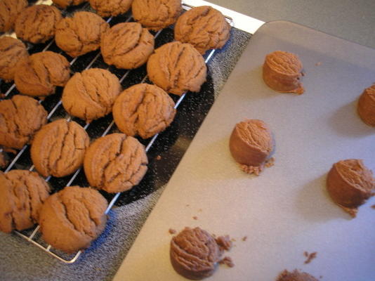 biscuits au chocolat et beurre d'arachide