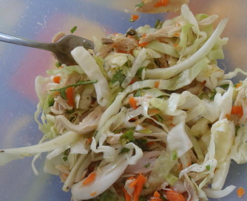 salade de poulet vietnamien croquant