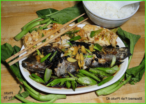 1 poisson chinois cuit à la vapeur préféré par sy