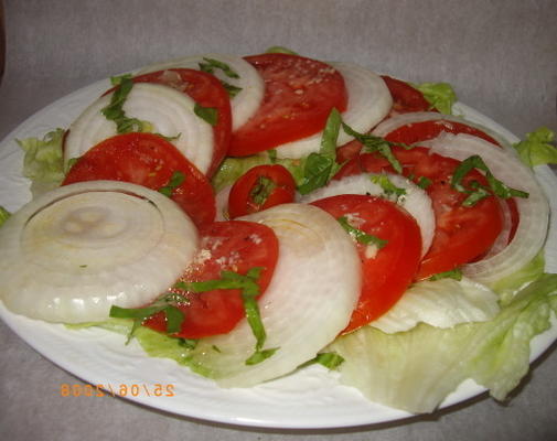 salade d'oignons et de tomates (salata bonjon-e-rhumi-e-piaz)