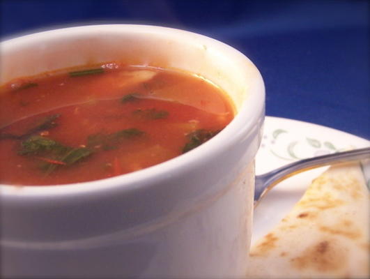soupe mexicaine zesty