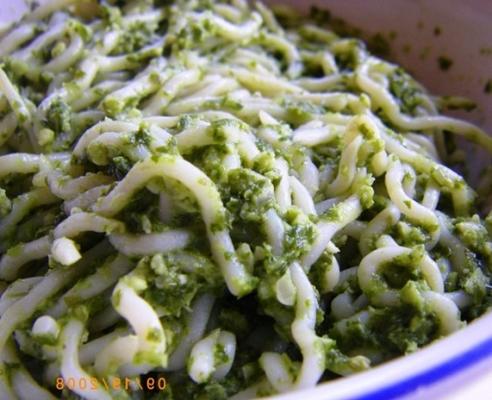 nouilles shirataki au pesto faciles