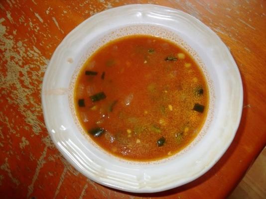 soupe de poblano mexicain avec bouillon