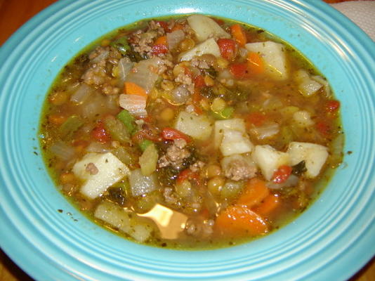 soupe de légumes au bœuf haché