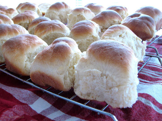 Petits pains de 60 minutes (robot culinaire)
