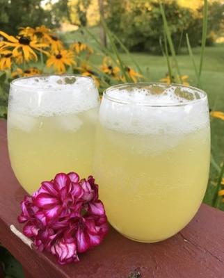 spritzer au gingembre et à l'ananas