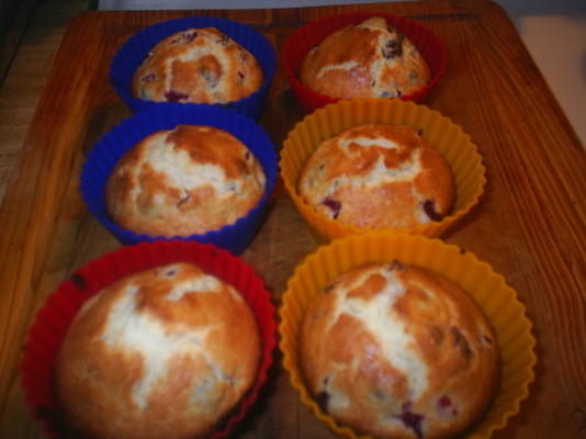 muffins aux bleuets fant-easy