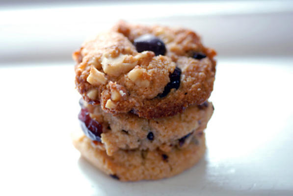 biscuits aux pépites de chocolat sans gluten et canneberges sans gluten