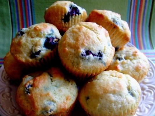 muffins aux bleuets ensoleillés