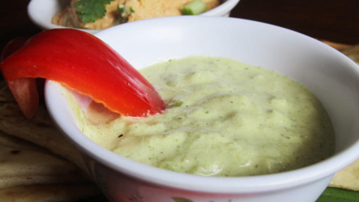 maast-o-khiar - sauce persane au concombre