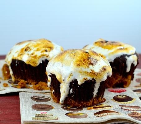 petits gâteaux biscuits Graham au chocolat avec guimauve grillée