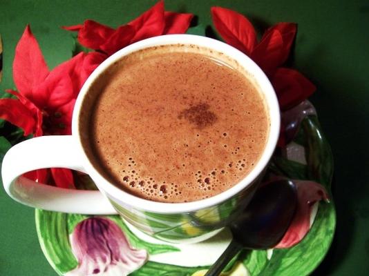 chocolat noir chaud épicé