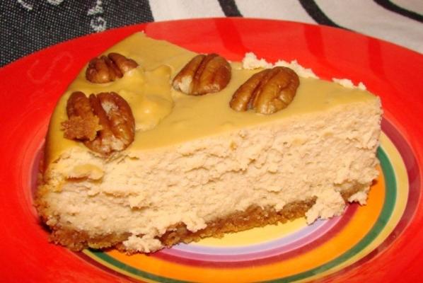 Gateau Au Fromage De Tortue Facile Guide Recettes