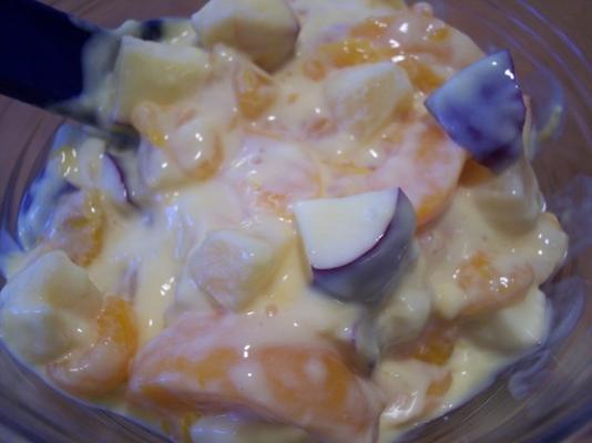 salade de pudding aux fruits
