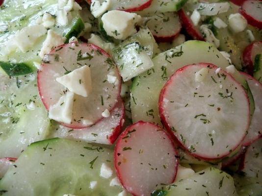 salade d'aneth concombre au radis et feta