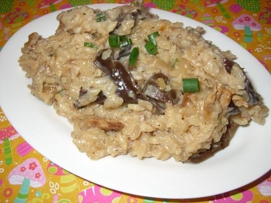 risotto aux champignons séchés