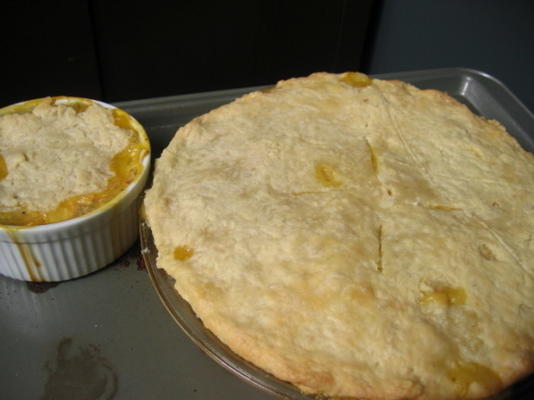 pâté en croûte de base i